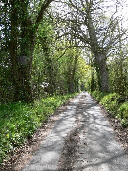Mont Saint Michel 2010 - 120.jpg